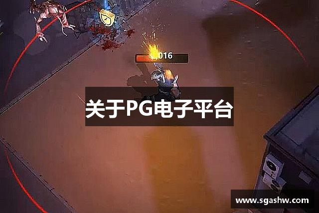 关于PG电子平台